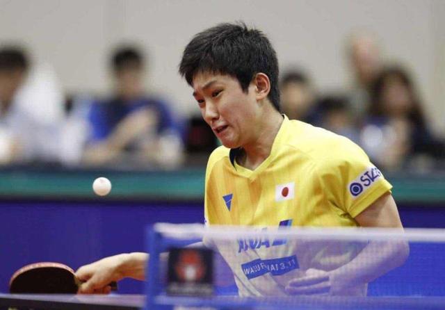 王曼昱迎 王曼昱迎